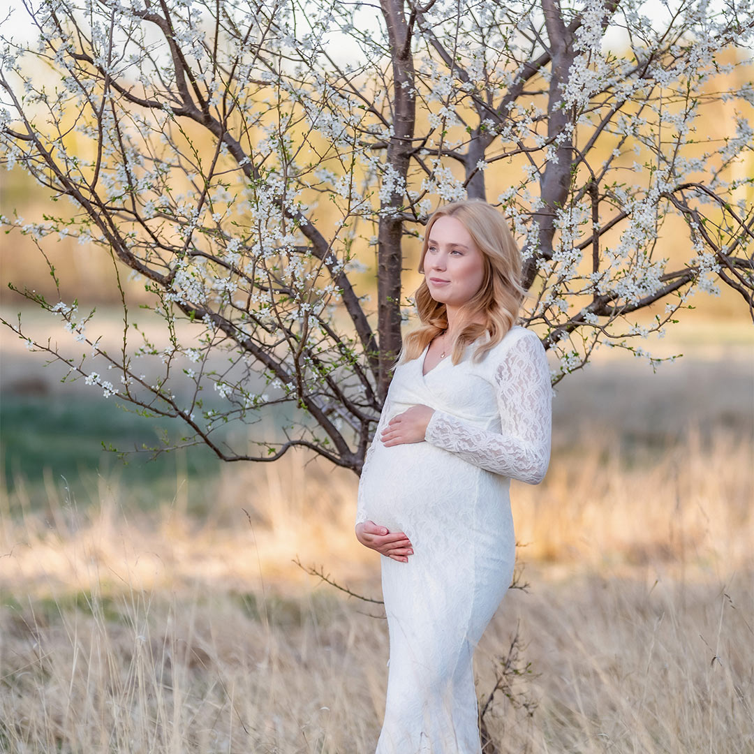Gravidfotografering om våren. Den gravida kvinnan har en vit spetsklänning och står på en äng med torrt gräs bredvid ett äppelträd i blom.