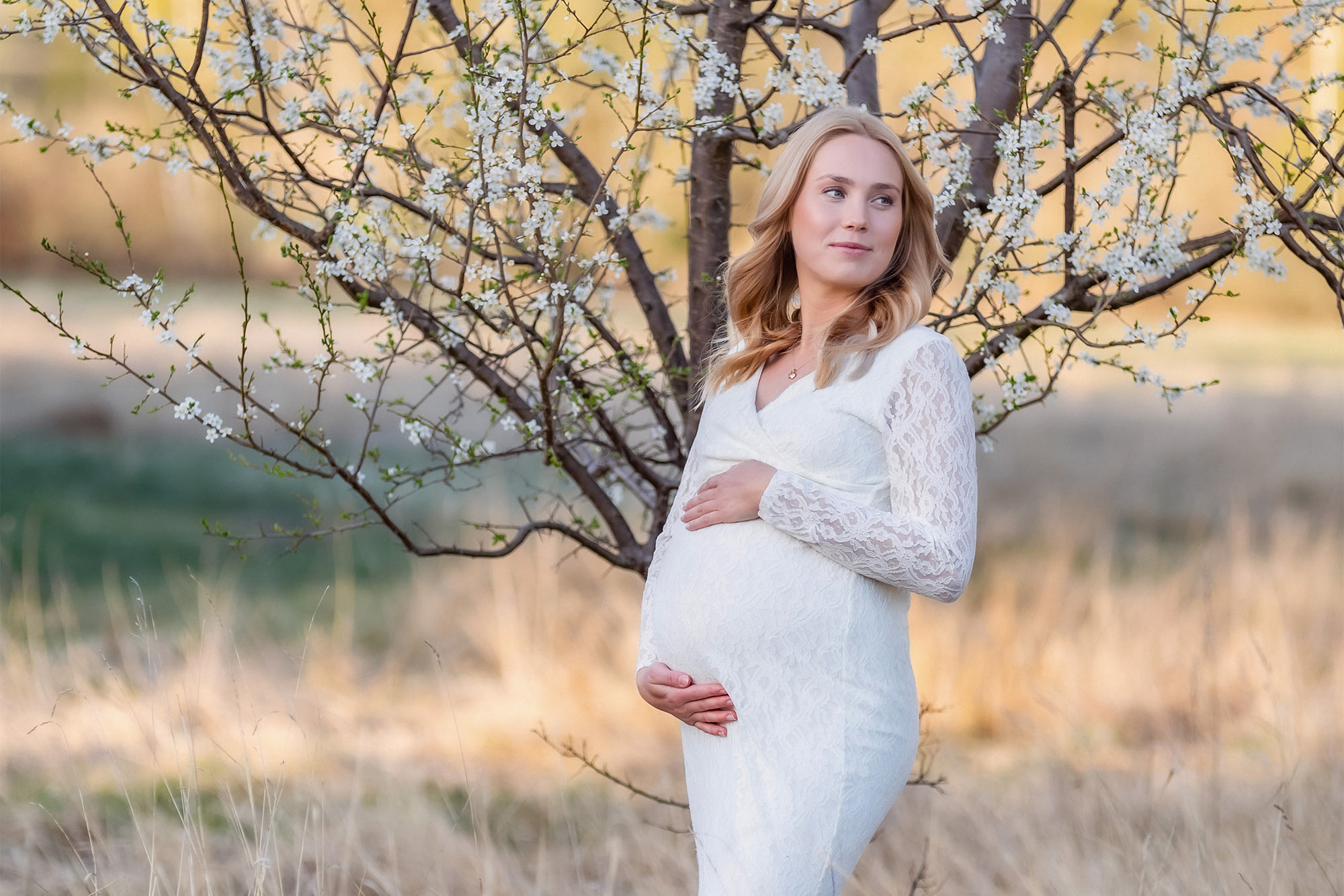 En gravid kvinna i vit spetsklänning står på en äng bredvid ett blommande äppelträd. Det är vår i luften och vackert kvällsljus.