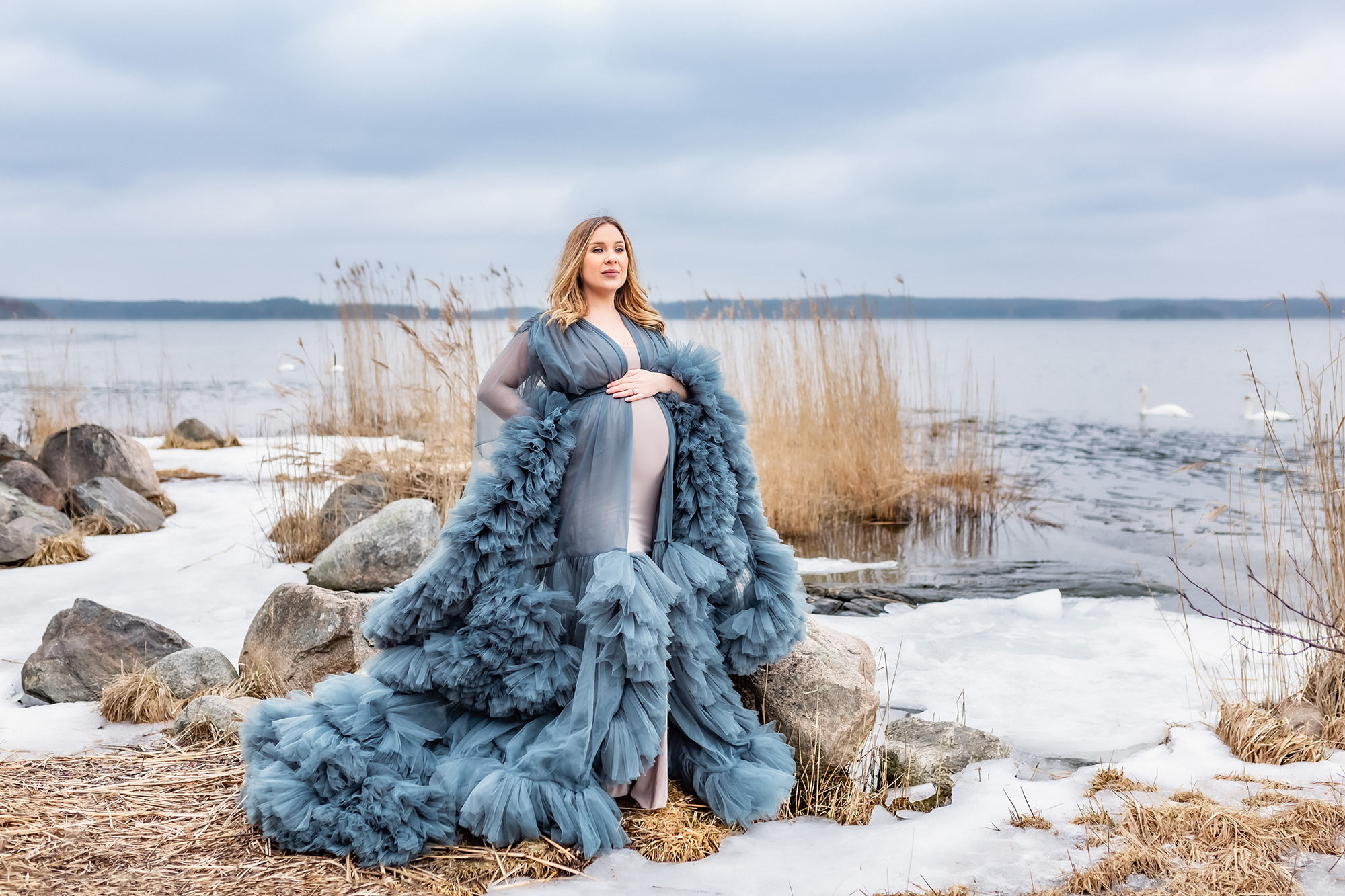 Gravidfotografering vid havet på vintern. Den gravida kvinnan har på sig en elegant gråblå klänning och står bland stora stenar och vass. Isen ligger på delar av havet och där havet är öppet simmar några svanar.